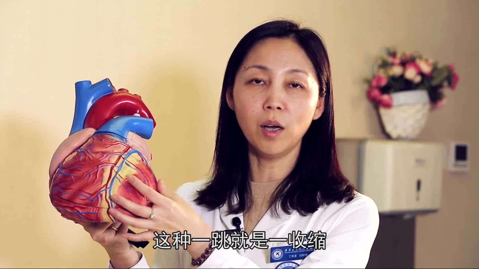 心脏的功能和作用是什么视频_洞医